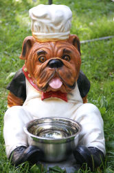 Hund